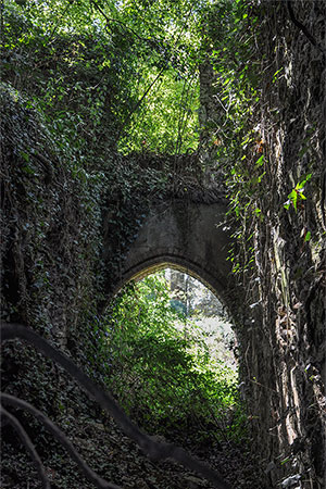 Notre-Dame de Divielle