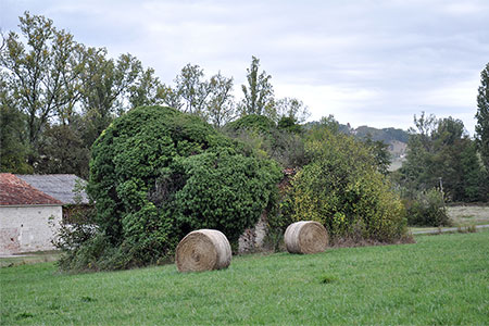 Abadia de Pérignac