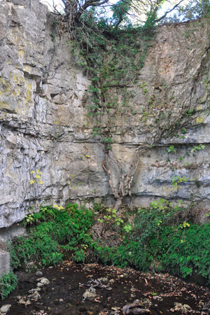 Notre-Dame du Val des Nymphes