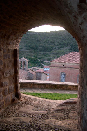 Castell de Puig-reig