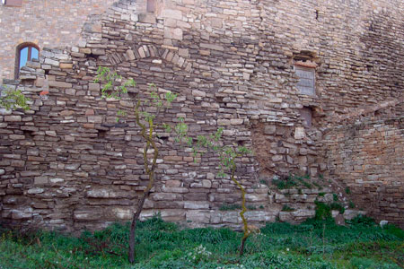 Castell de Vallfogona